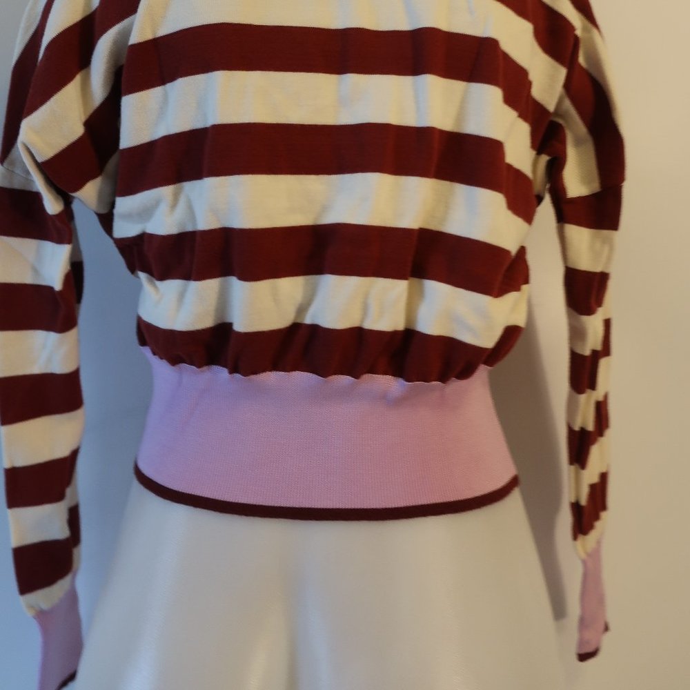 Striped Pink and Maroon Cropped Knit Top - Picture 5 of 7